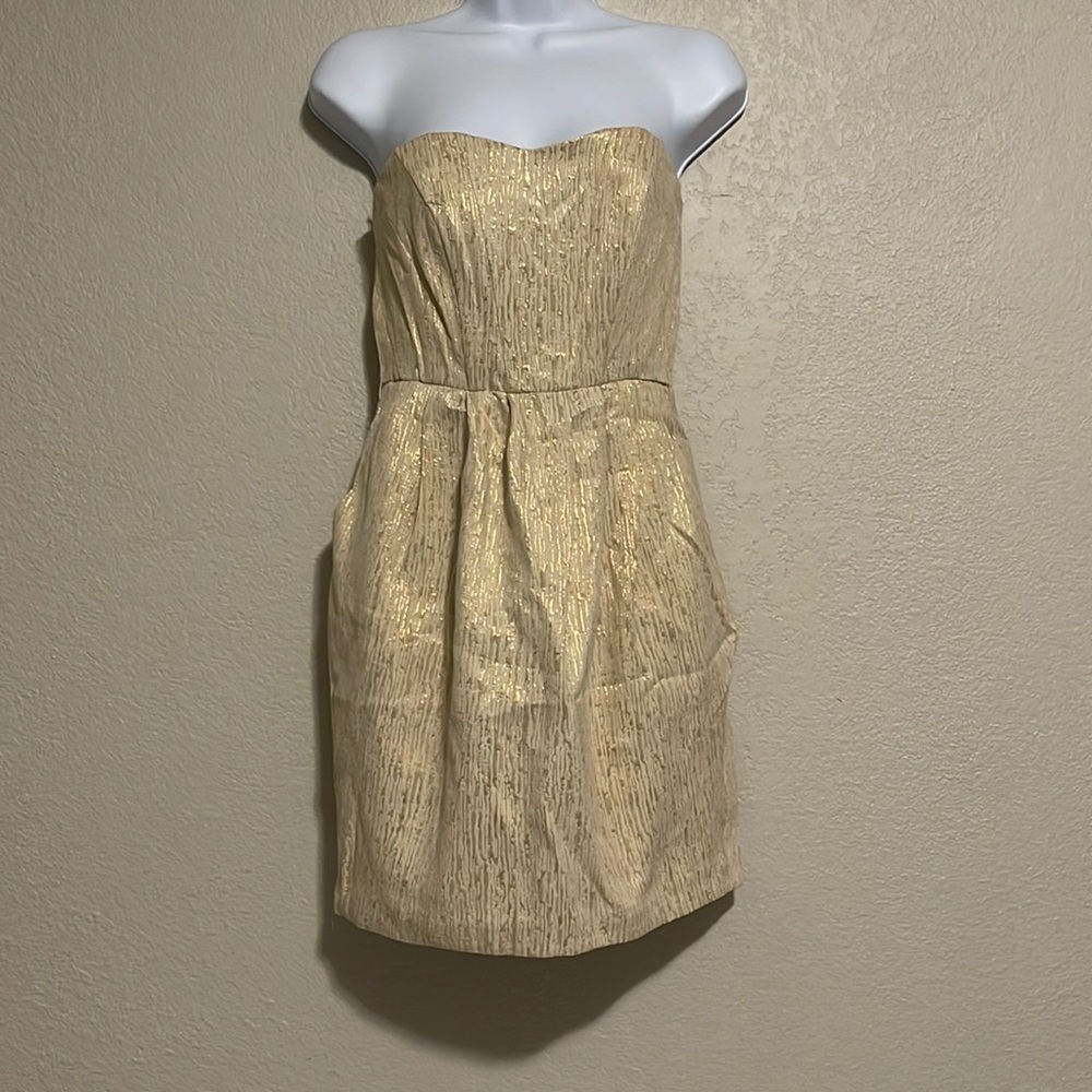 Cream & Gold dress